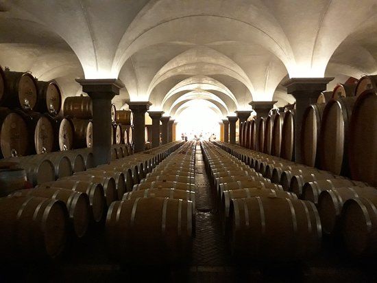 Cantina Zeni e il Museo del Vino